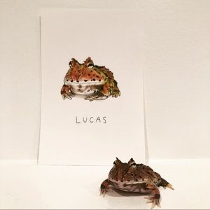 CUSTOM PET PORTRAITS